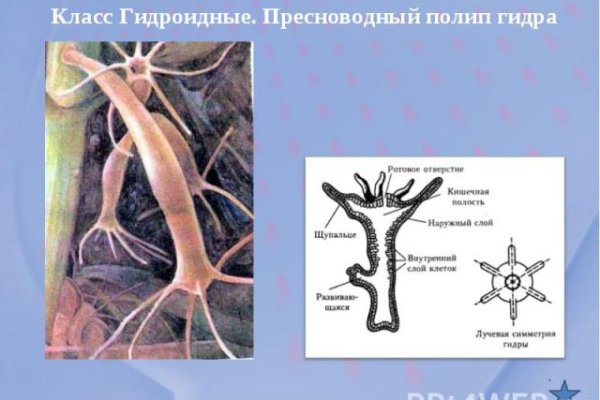 Кракен перестал работать