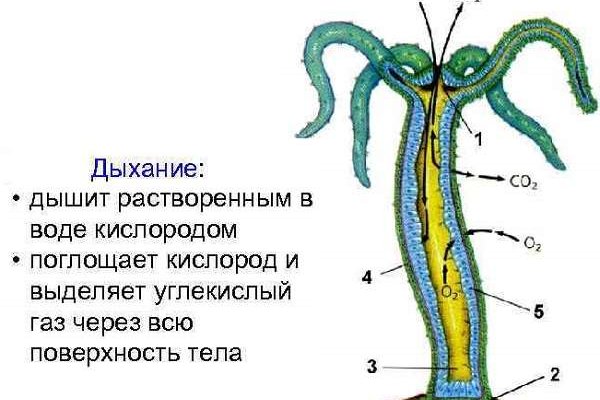 Кракен через впн